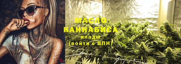 гашик Богданович