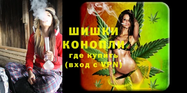 гашик Богданович