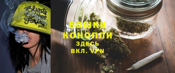 амф Бронницы