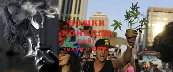 гашик Богданович
