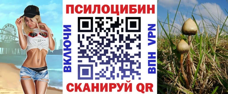 Псилоцибиновые грибы мицелий  продажа наркотиков  Кузнецк 